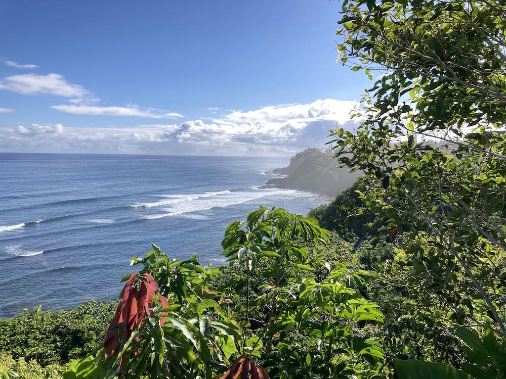 View of an ocean coast from above
