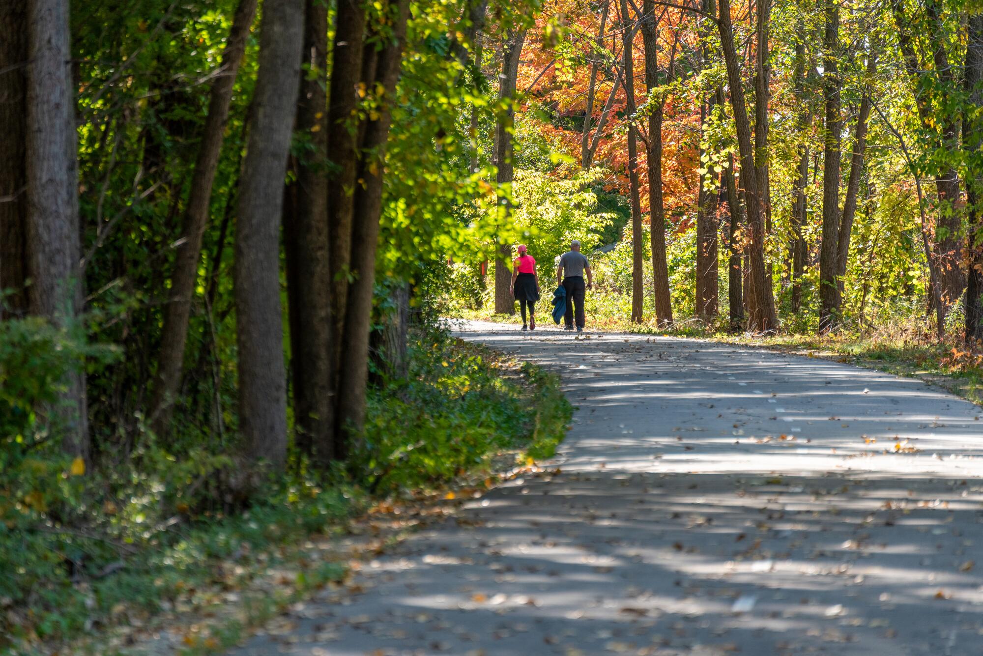 people_walking_on_the_trail_in_fall_color